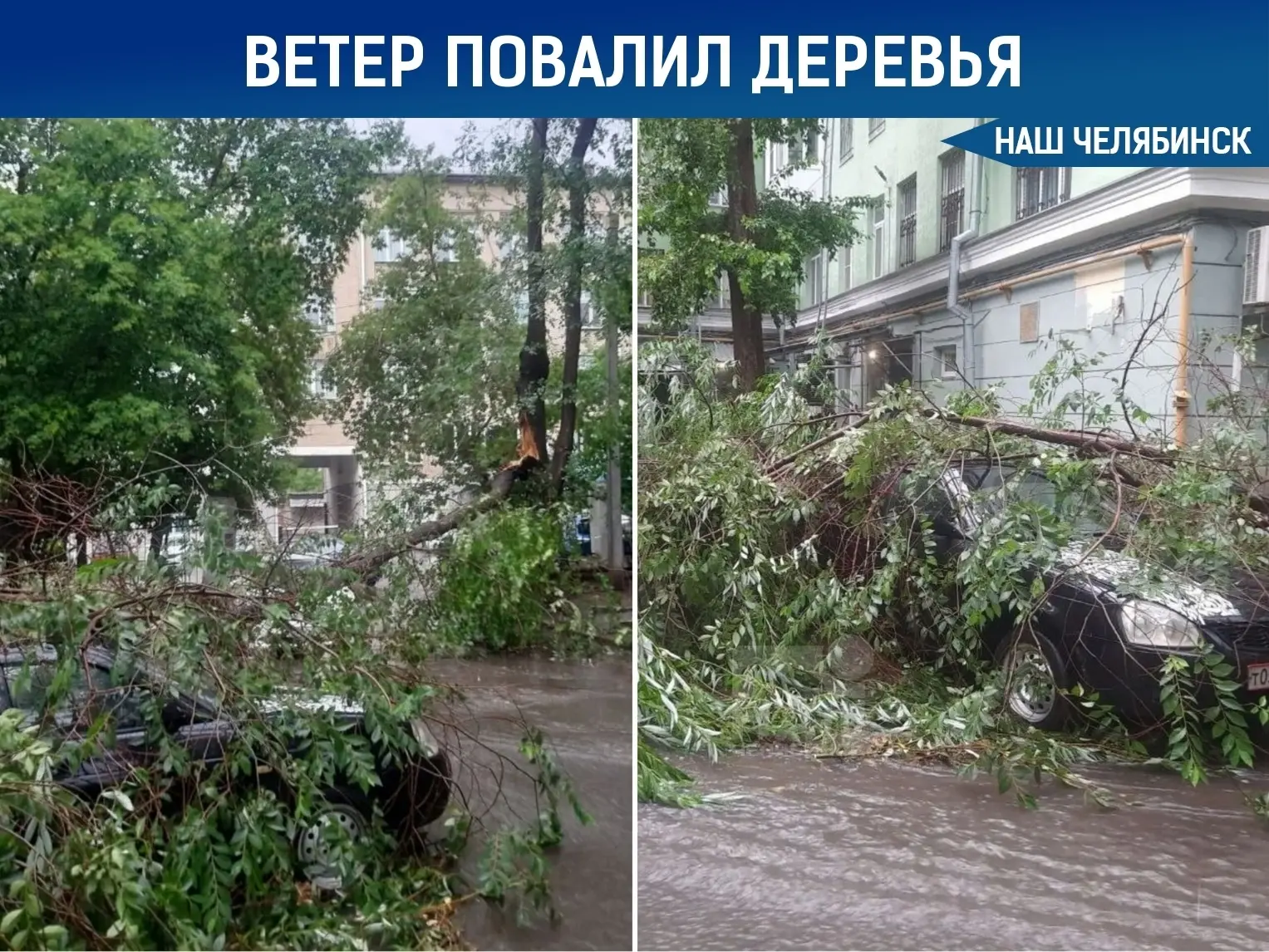 😲 Ураганный ветер повалил деревья в центре