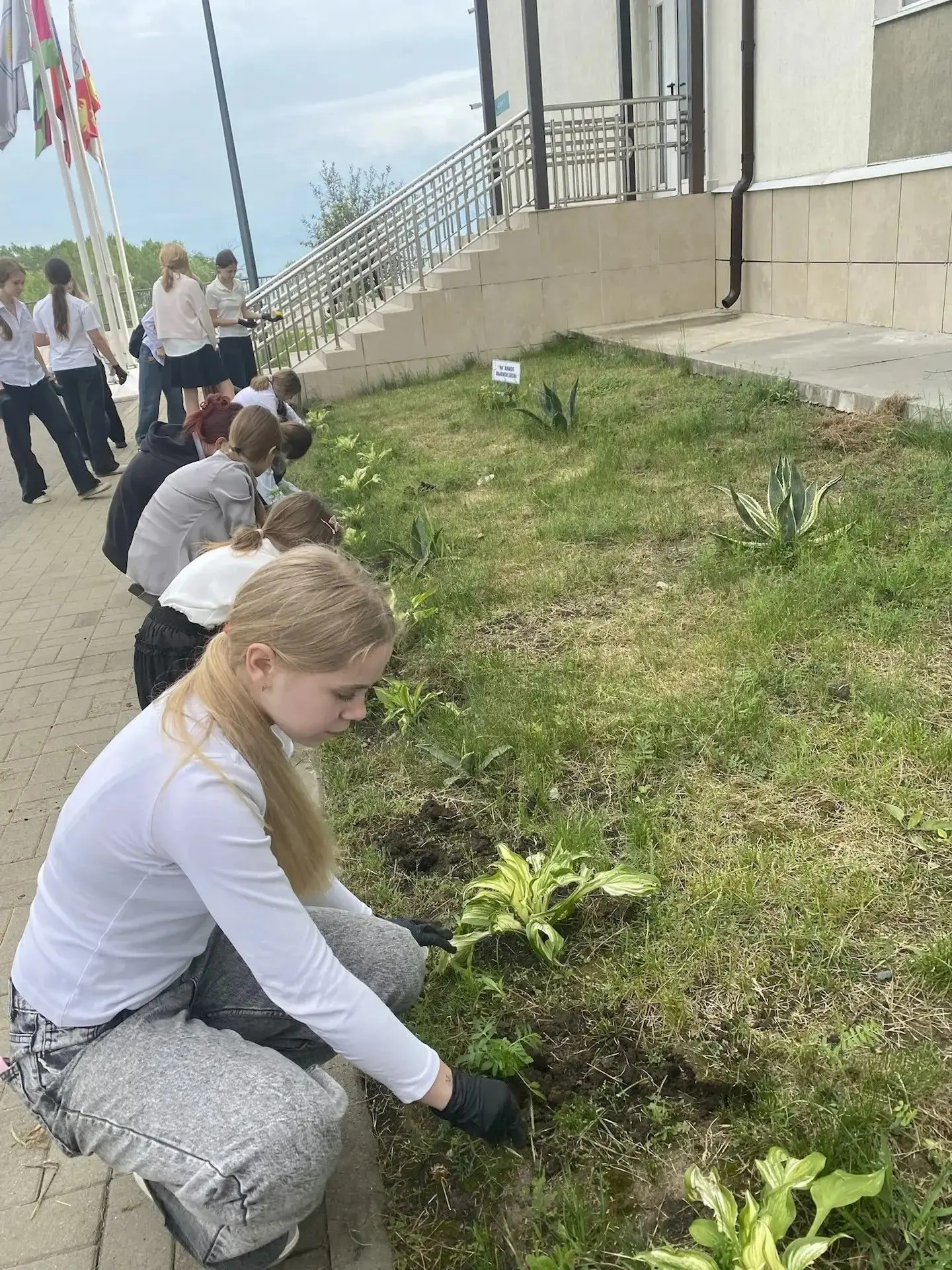 🌱Совсем недавно учащиеся засеяли емкости семенами ярких бархатцев. Когда маленькие ростки стали дост