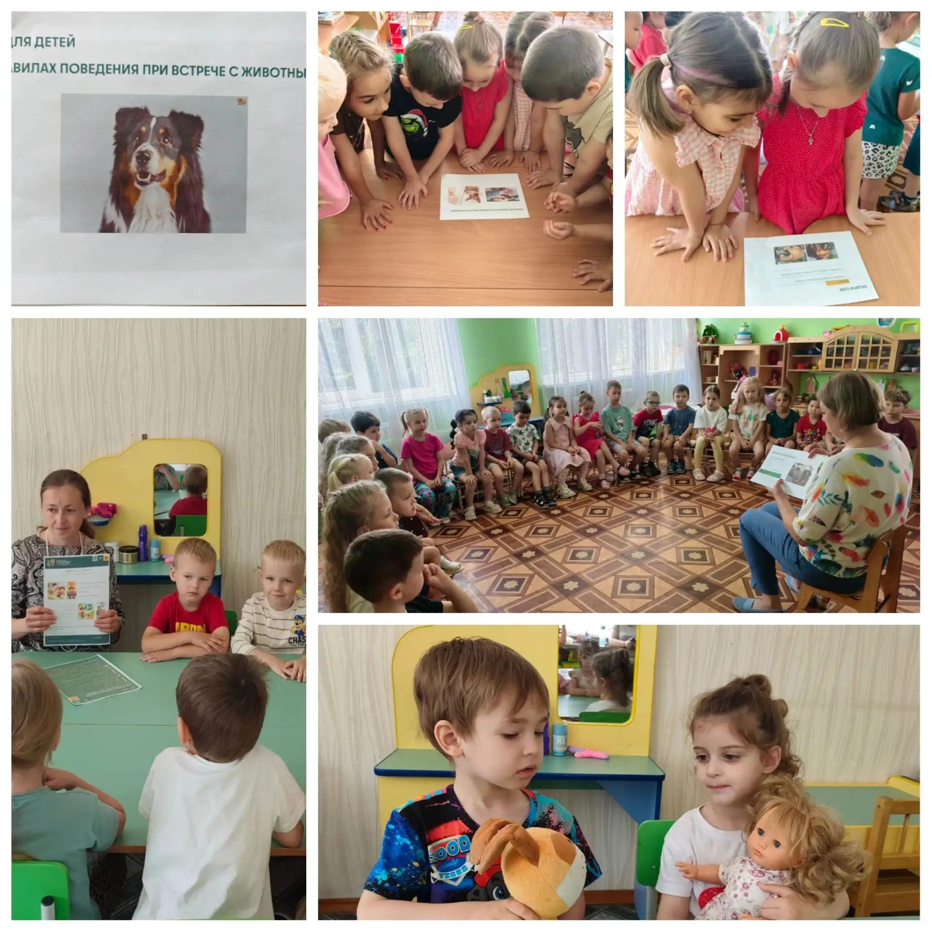 МОУ «СОШ №2» корпус 3-52
🐕 Осторожно, бездомная собака! Как мы учили детей безопасному поведению
 В