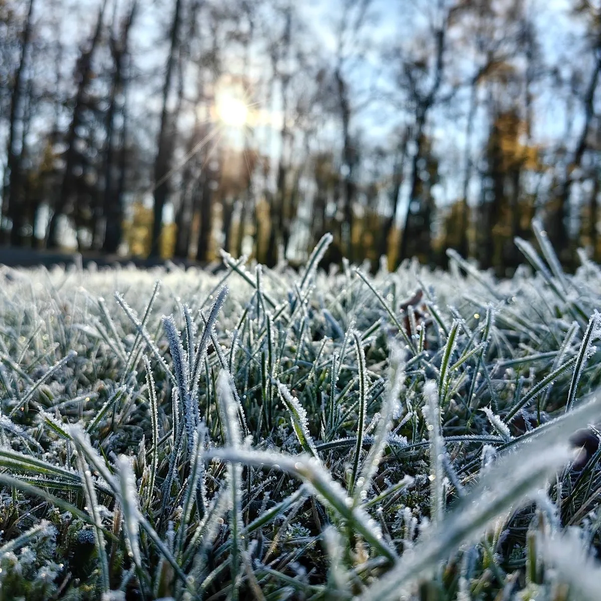 Заморозки и гололедица