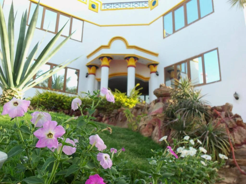 Отличный повод побывать в Египте. Горящий тур из Краснодара!🔥🔥🔥

GAFY RESORT 4*

Отель с хорошим 