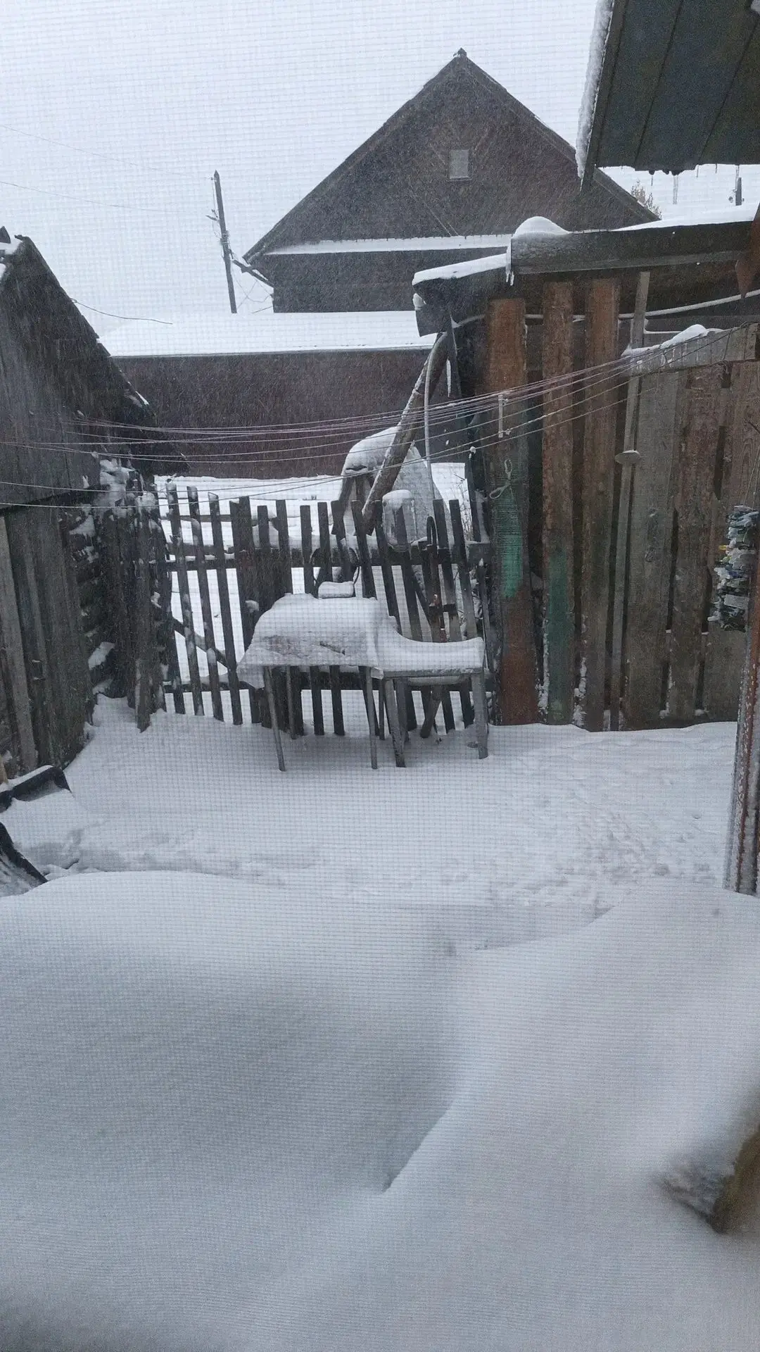 Снежное  утро от наших подписчиков ❄️