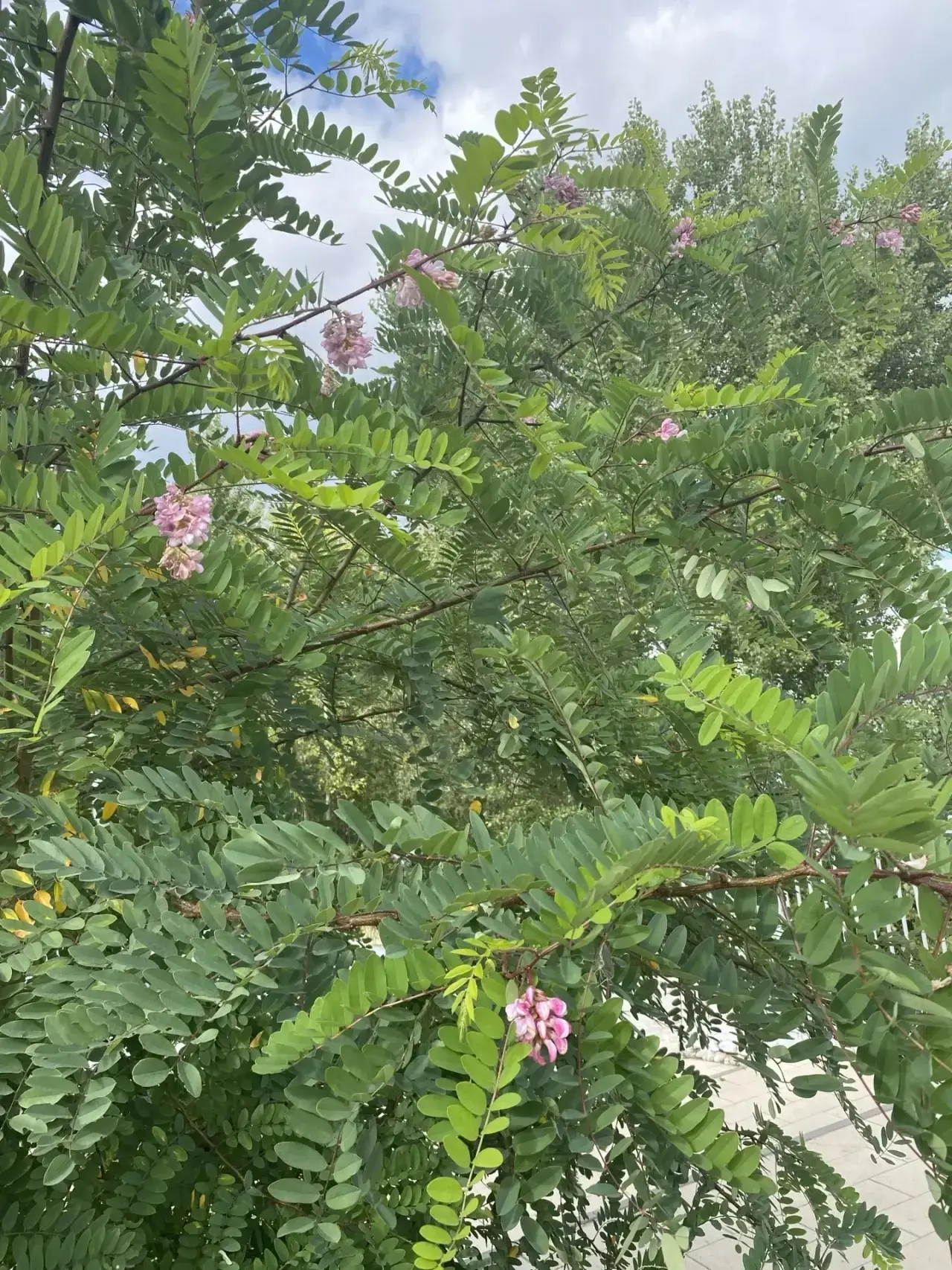 😍 Сентябрь умеет удивлять!