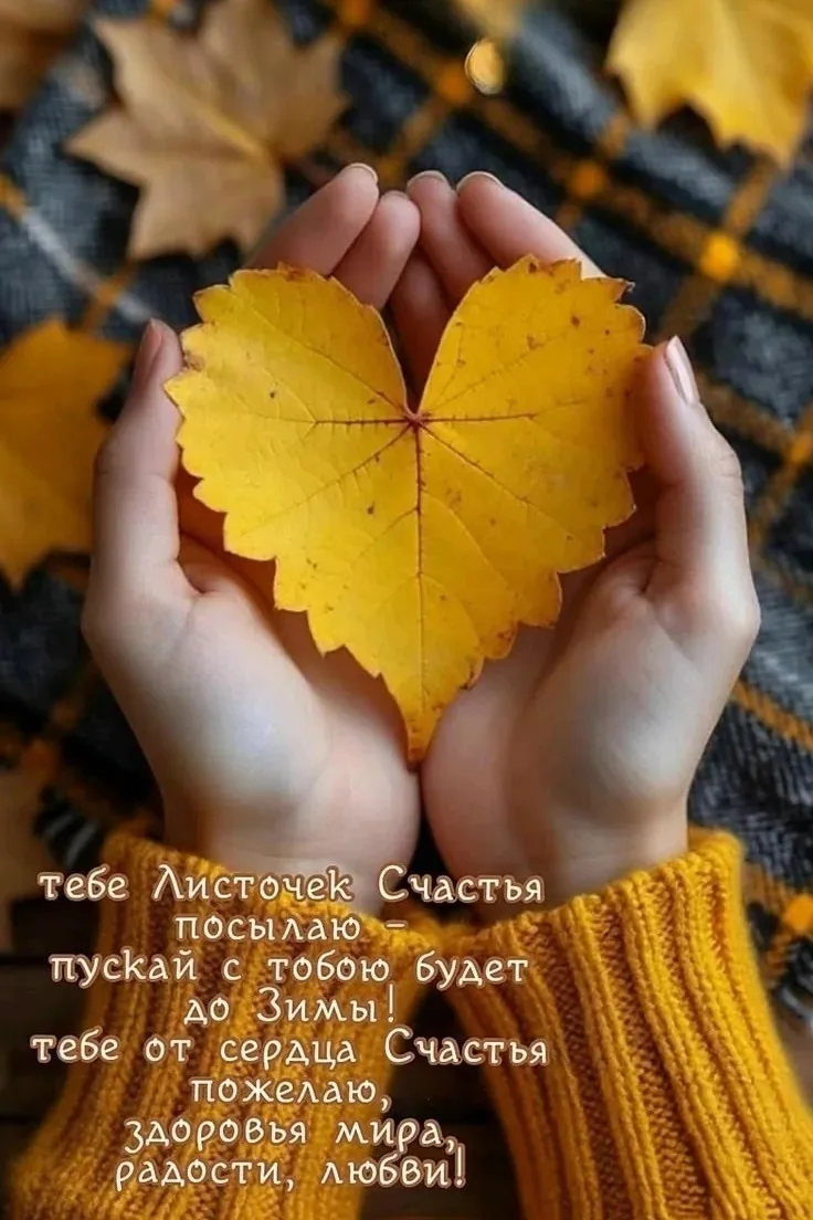 Чудесного осеннего дня! Хорошего настроения!
