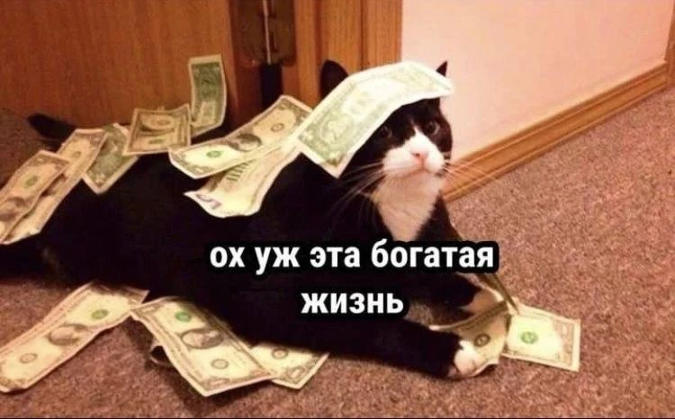 💰 Брянские работники станут получать больше