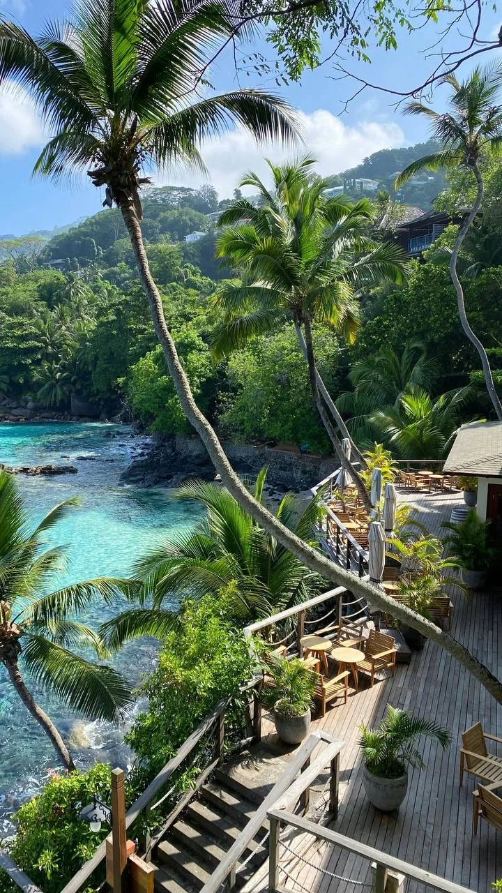 Сейшельские острова: краткий гайд по направлению 🌴