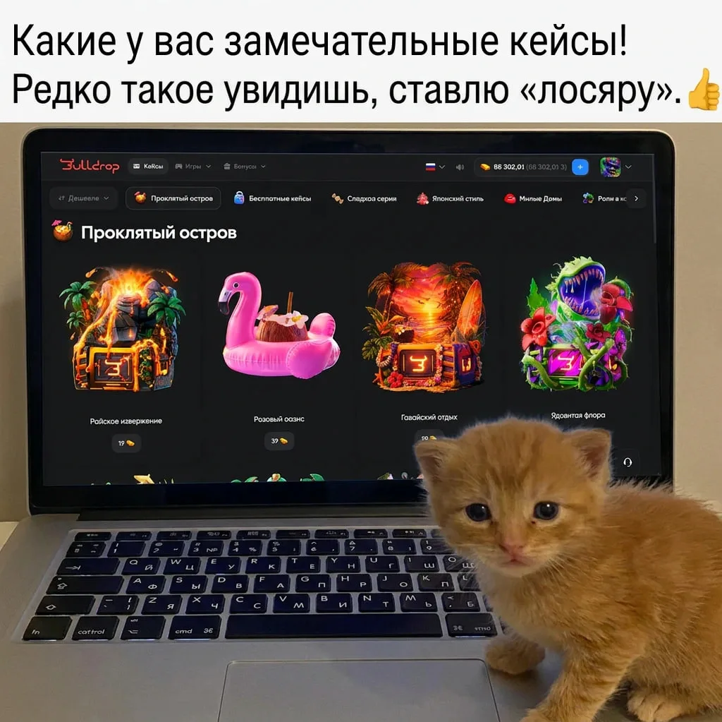Спасибо ушастик🐈