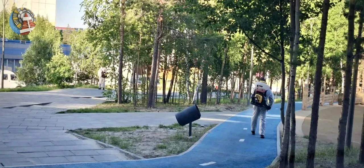 В Ноябрьске проводят обработку общественных территорий от комаров и мошки.