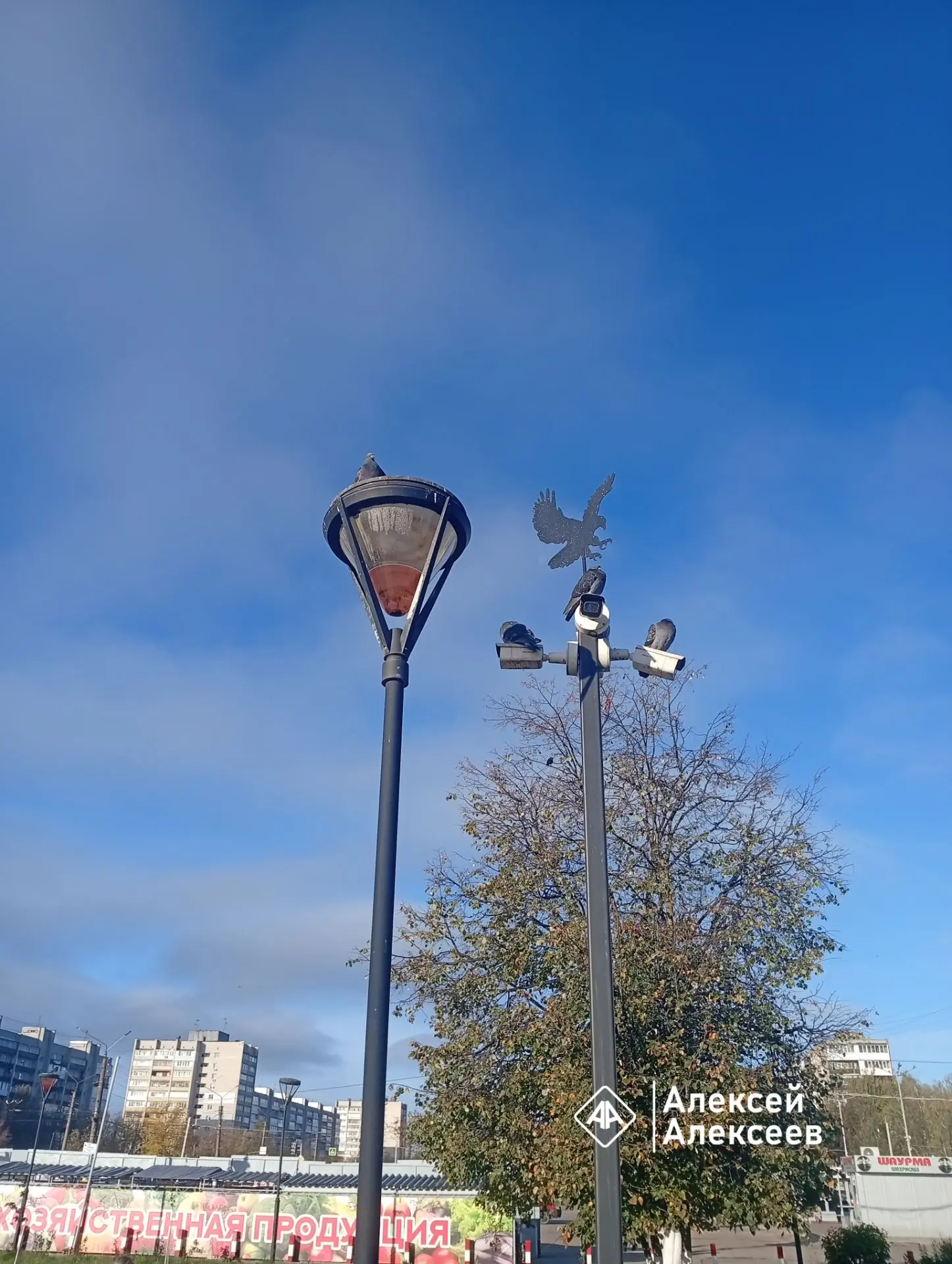 Отписка про говнарики*