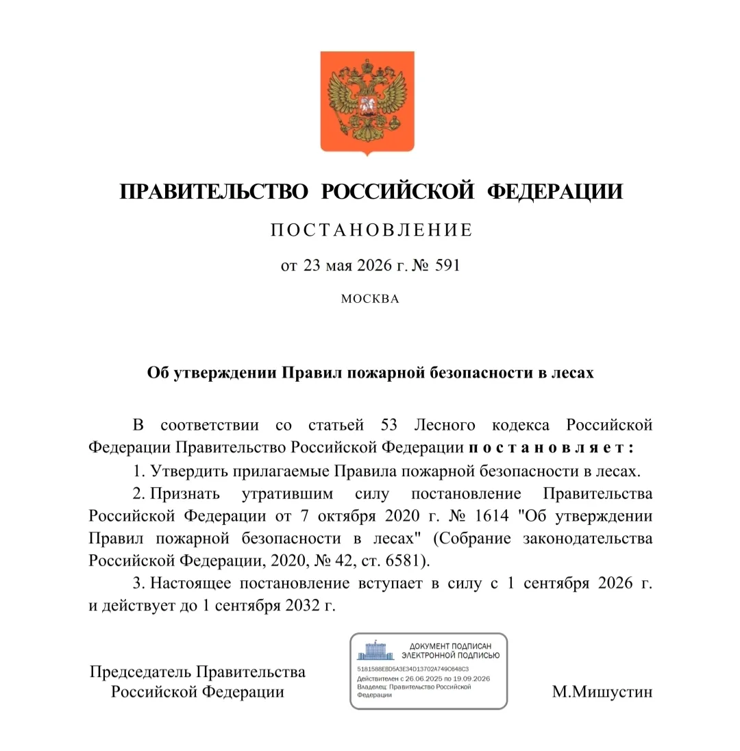Утверждены новые правила пожарной безопасности в лесах.