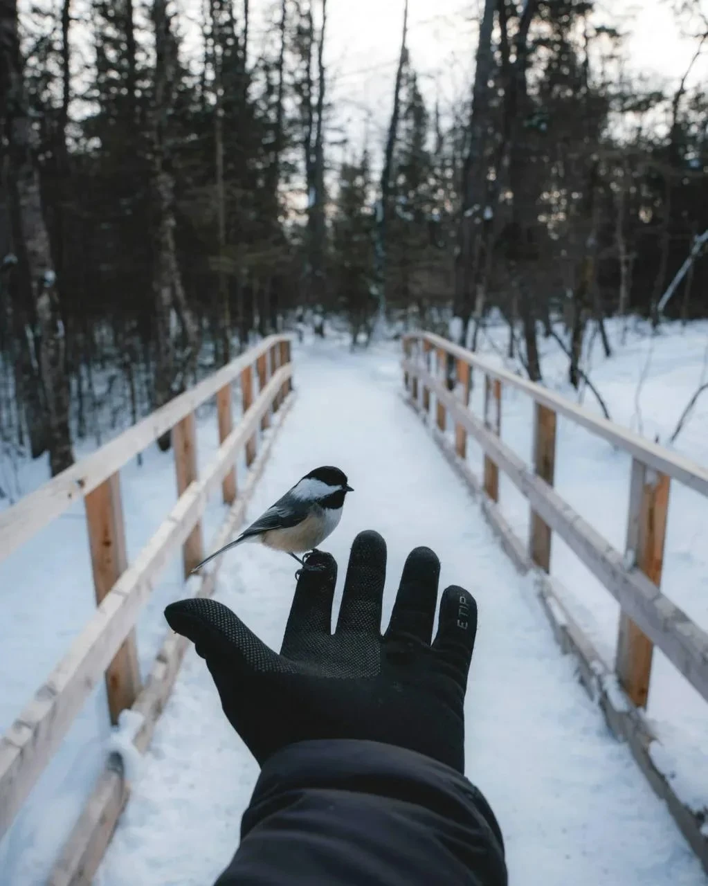 Прощайте других. Не потому, что они заслуживают прощения, а потому, что вы заслуживаете...