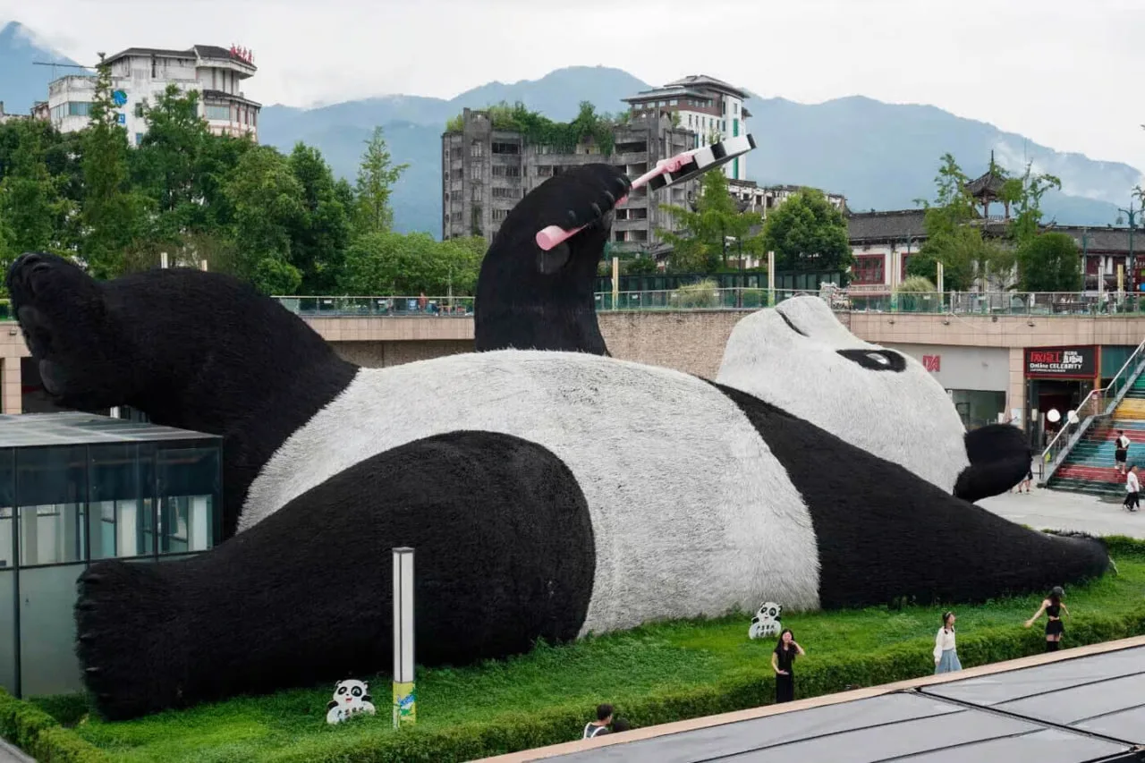 🐼 ИЗ НОВОСИБИРСКА — ПРЯМО В ГОРОД ПАНД