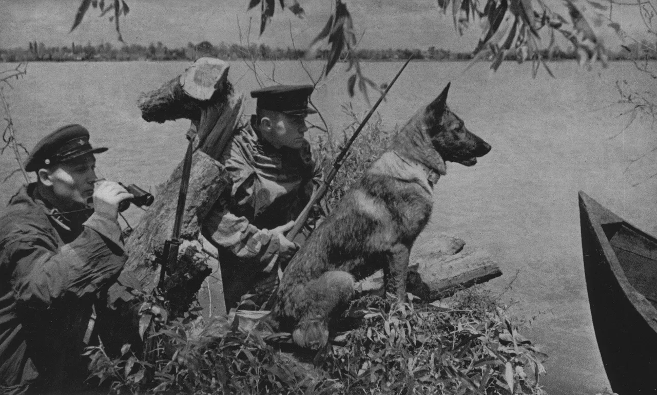 28 мая в России празднуется День пограничника! Именно 28 мая 1918 года Декретом Совнарк...