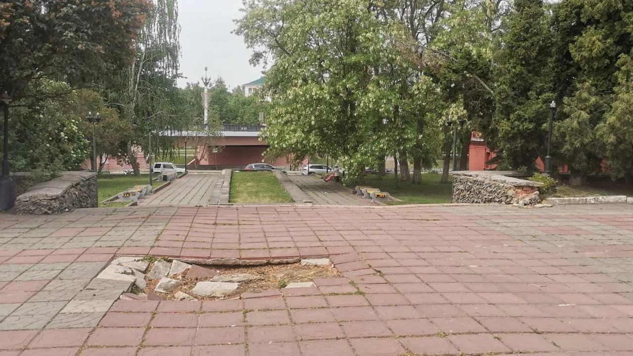 🌲 В Орле могут сохранить ели в сквере Маяковского

Как отметили в прокуратуре, разрешения на снос е