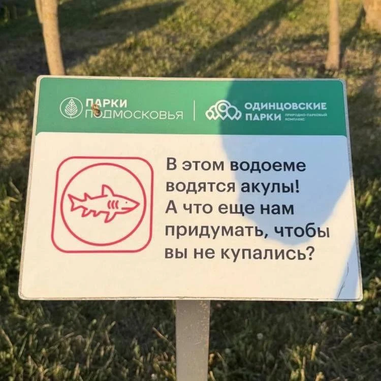 Сотрудники Одинцовского парка пошли на крайние меры, чтобы остановить купание в запрещенном месте

И