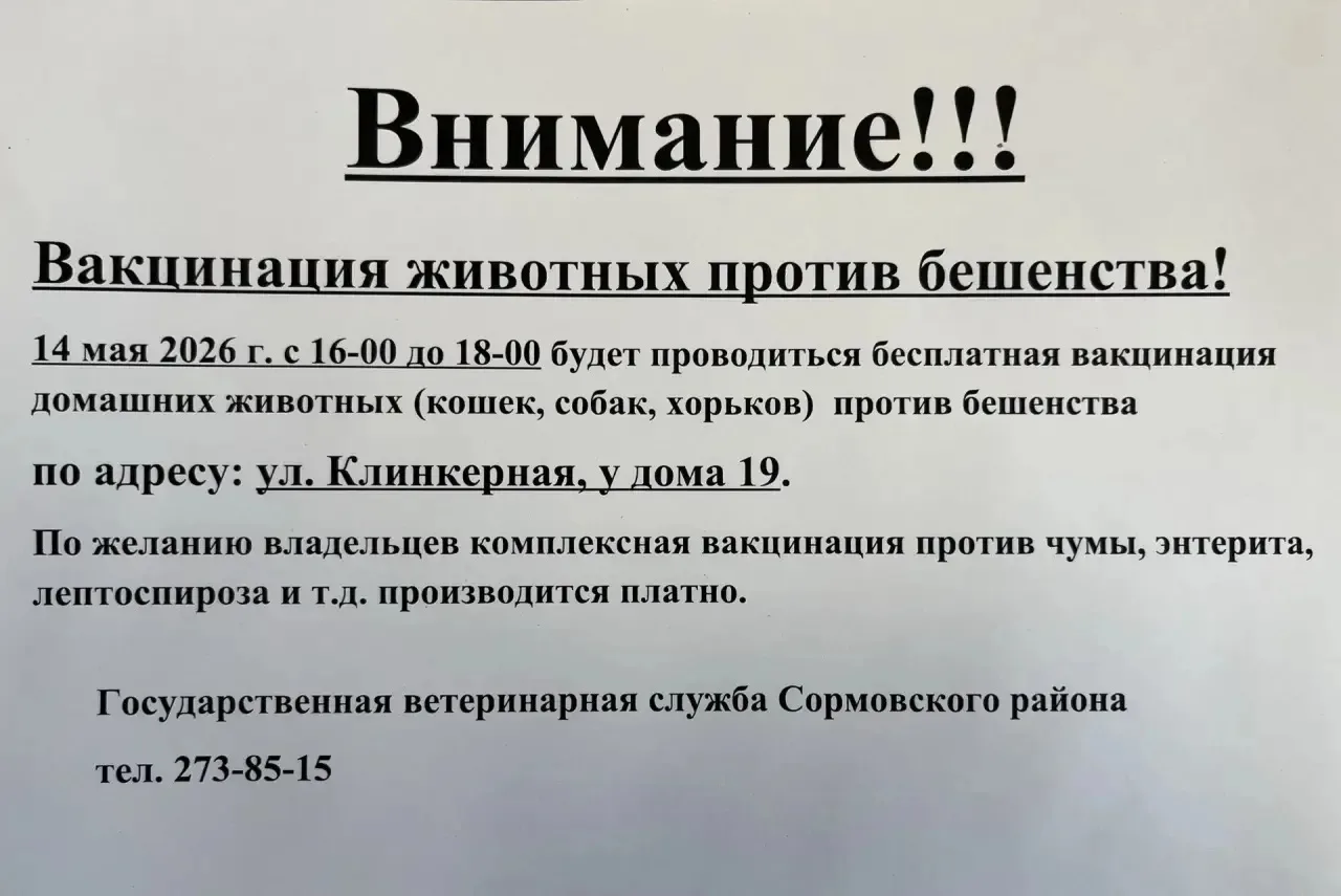 Бесплатная выездная вакцинация домашних питомцев от бешенства💉 пройдет 14 мая в Сормов...