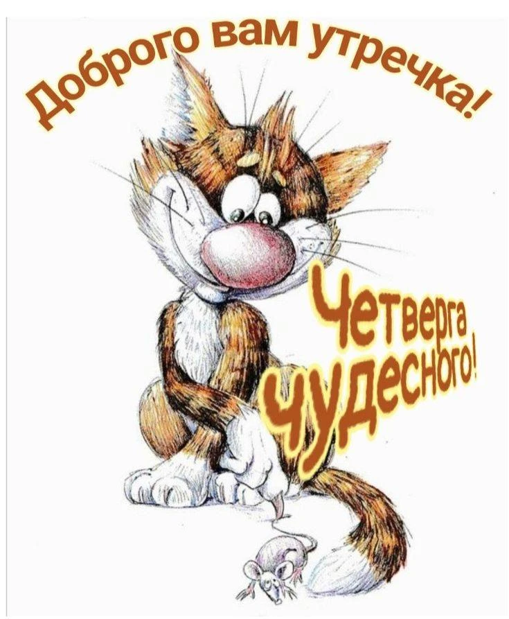 Доброе утро, друзья! Пусть день будет лёгким и радостным! ❤️🍁🍂