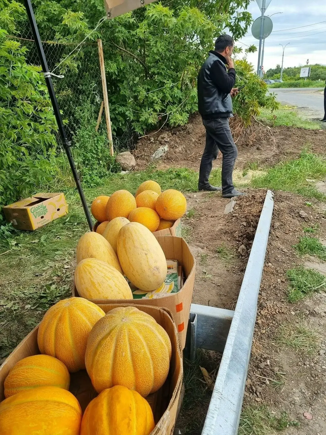 🍉 Фрукты-нелегалы проникли в Липецк