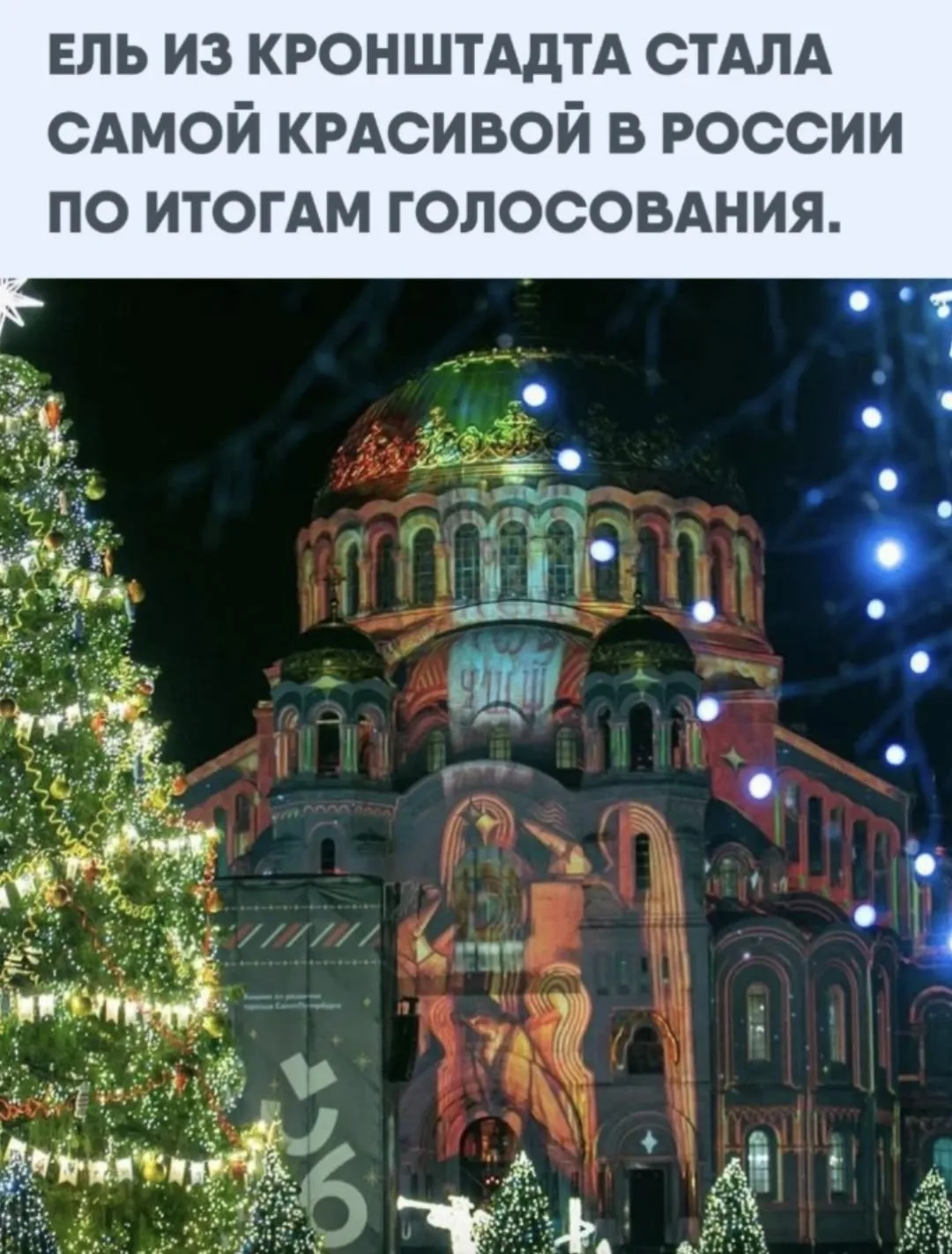 ❗️По результатам голосования победителями в номинации «Елка России в крупном городе» ст...