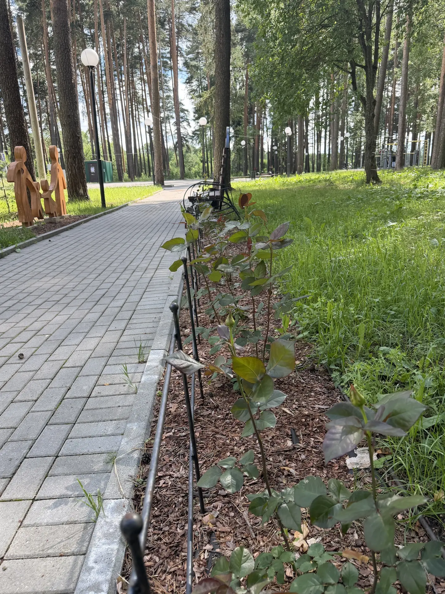 У нас в парке красиво 🌹🌲