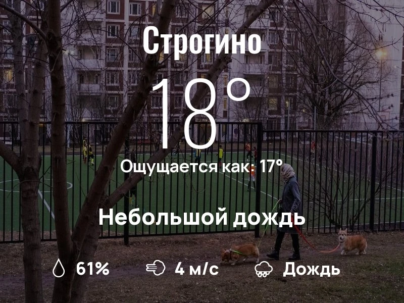 Что с погодой в Строгино?

Одевайтесь по погоде, берегите себя!
Уютного дня, соседи!

#погоданарайон