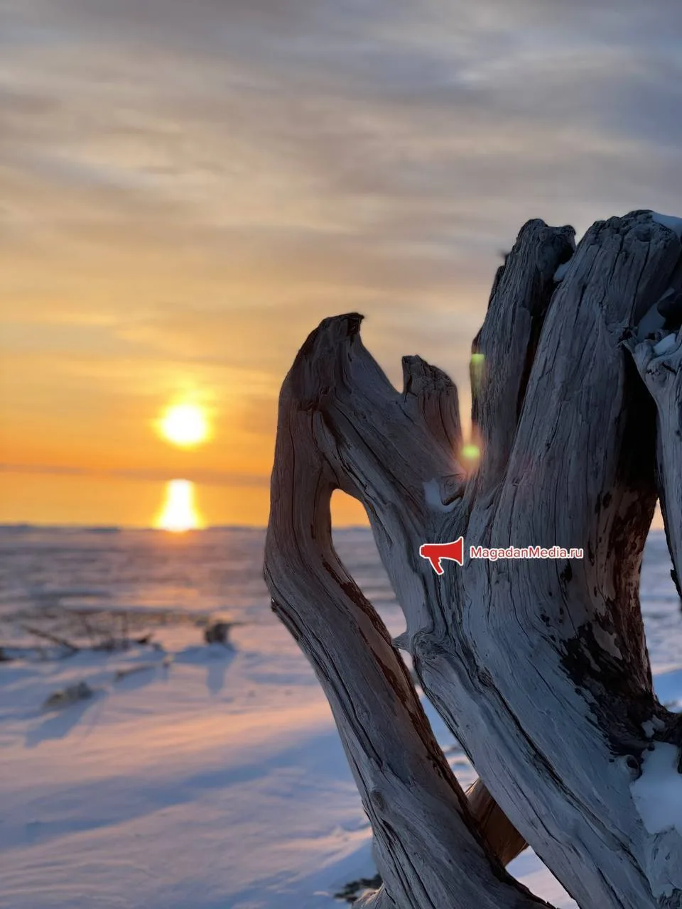 День Охотского моря 🌊
Поздравляем наше любимое 💙

❗️ MagadanMedia | Наши новости в  ❇️ MAX | Присл