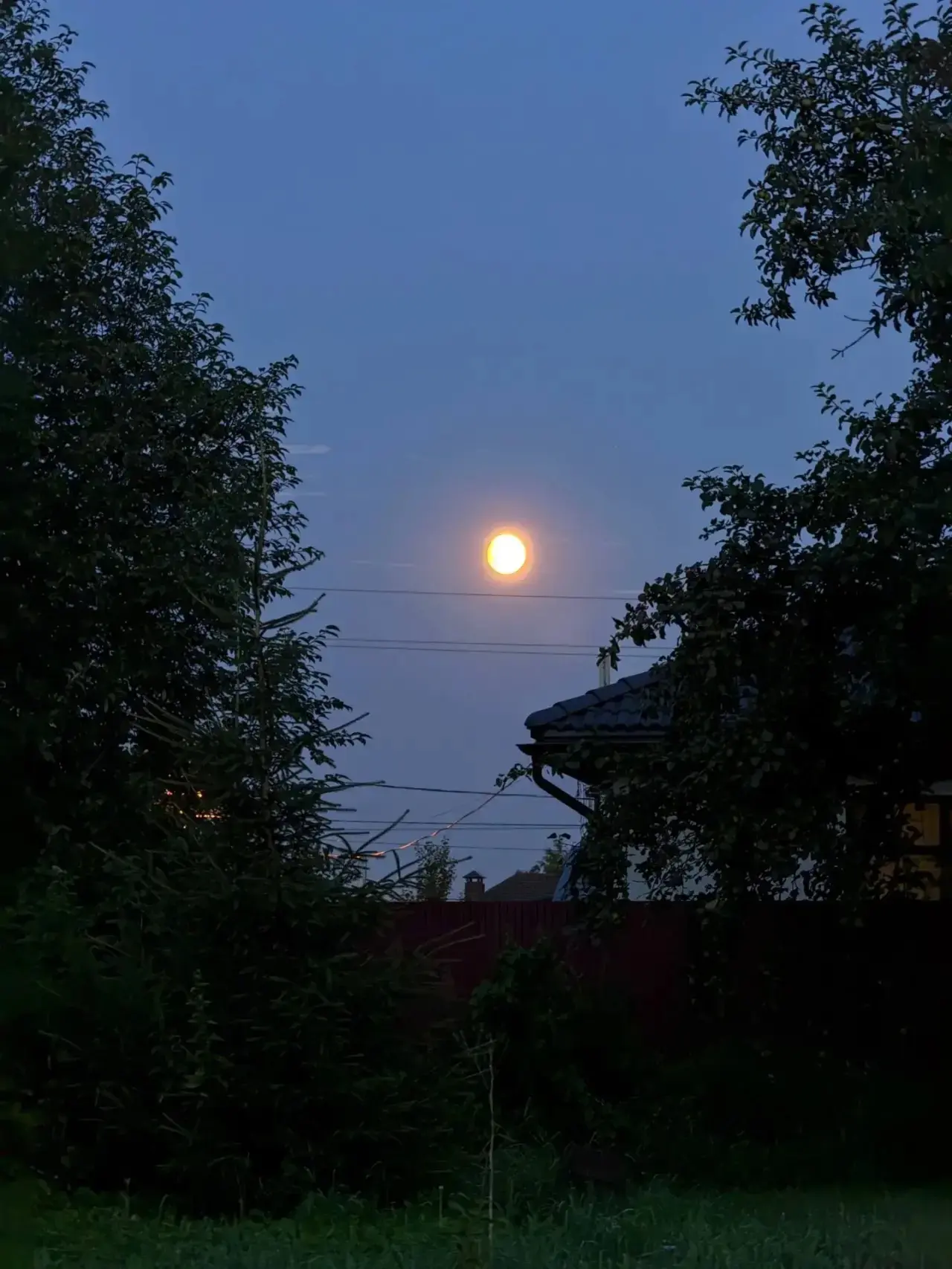 Оленья Луна сегодня над городом 🌝
