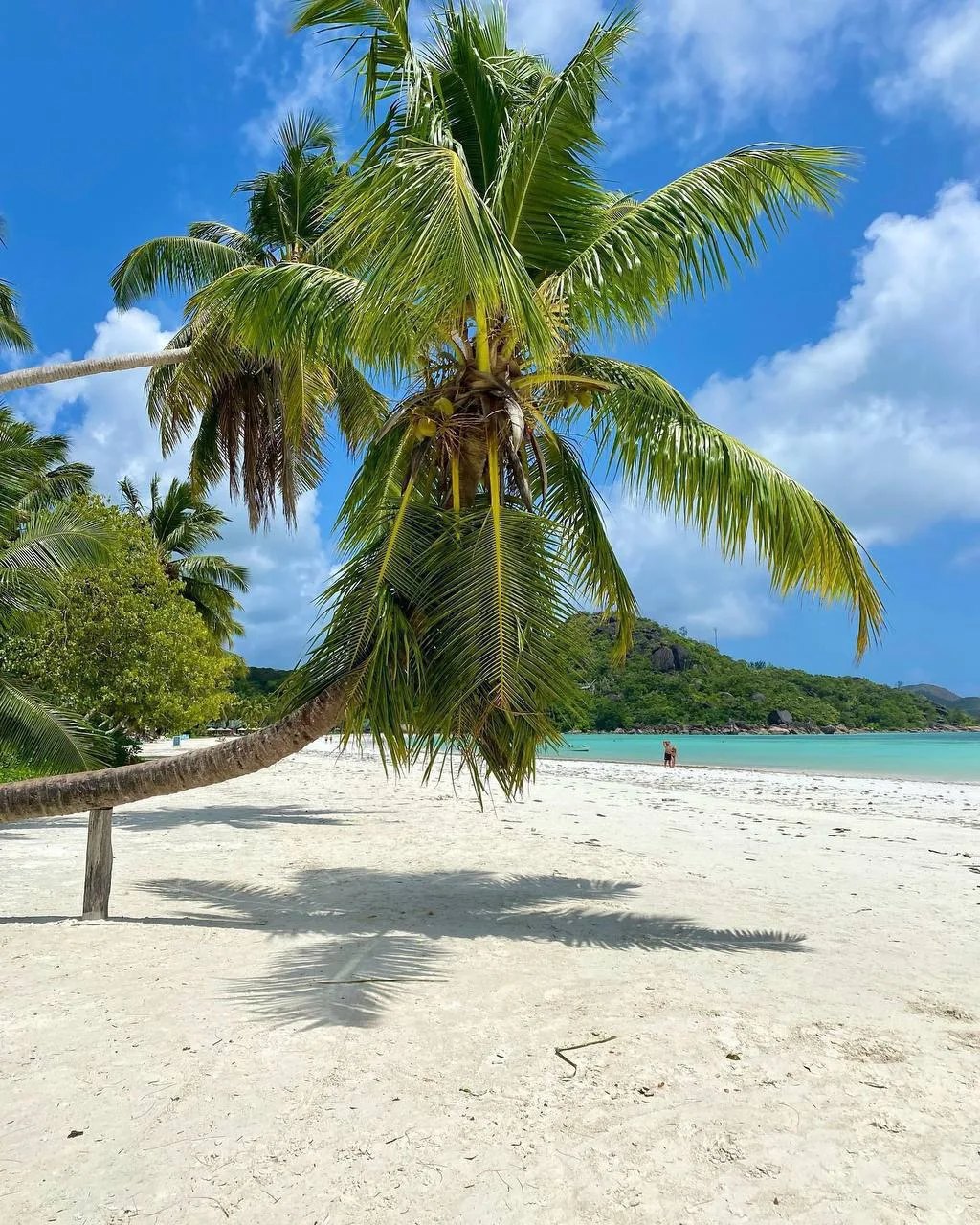 Летим на Сейшелы прямым рейсом Аэрофлота ✈️

☺️Berjaya Beau Vallon Bay Resort & Casino 4*

- отель р