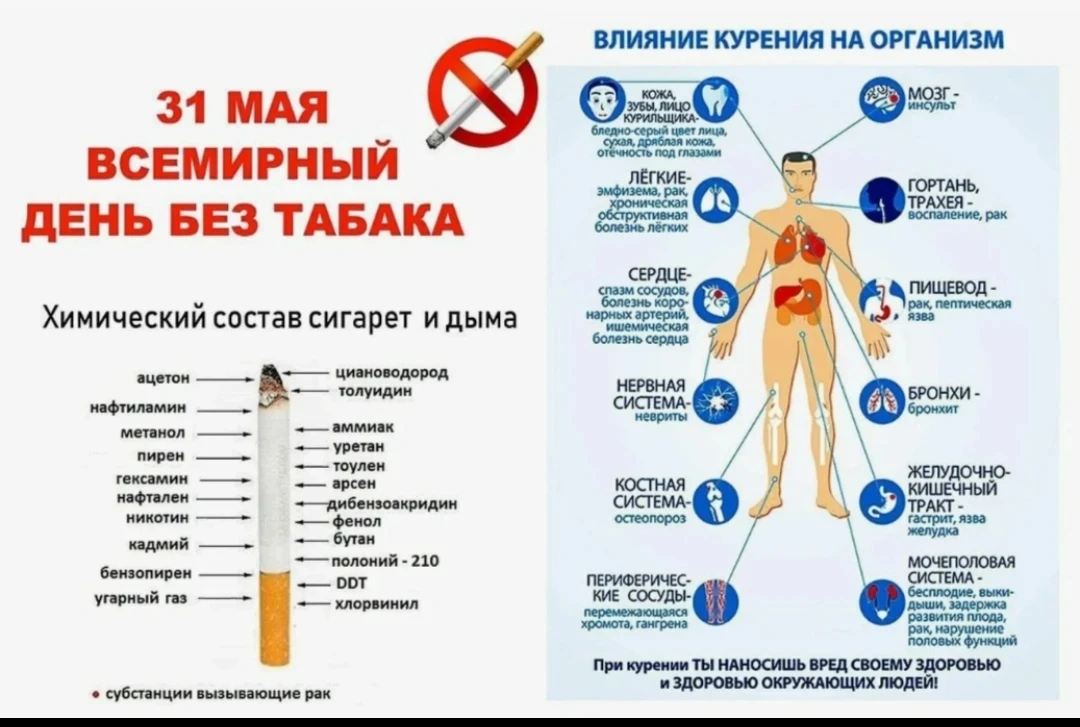 31 мая — Всемирный день без табака🚭