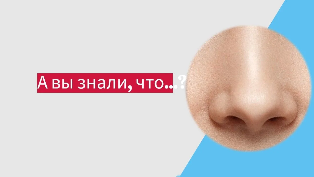 А вы знали, что у большинства людей одна ноздря дышит активнее другой, и эта «рабочая» ...