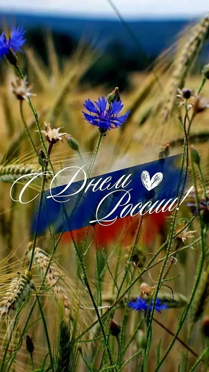 🇷🇺 12 июня - День нашей великой страны!
