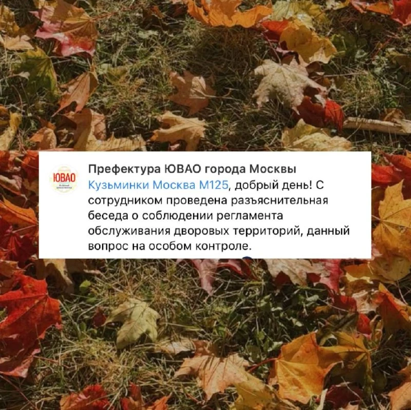 Префектура отреагировала на замечание нашего подписчика по поводу уборки листьев воздух...