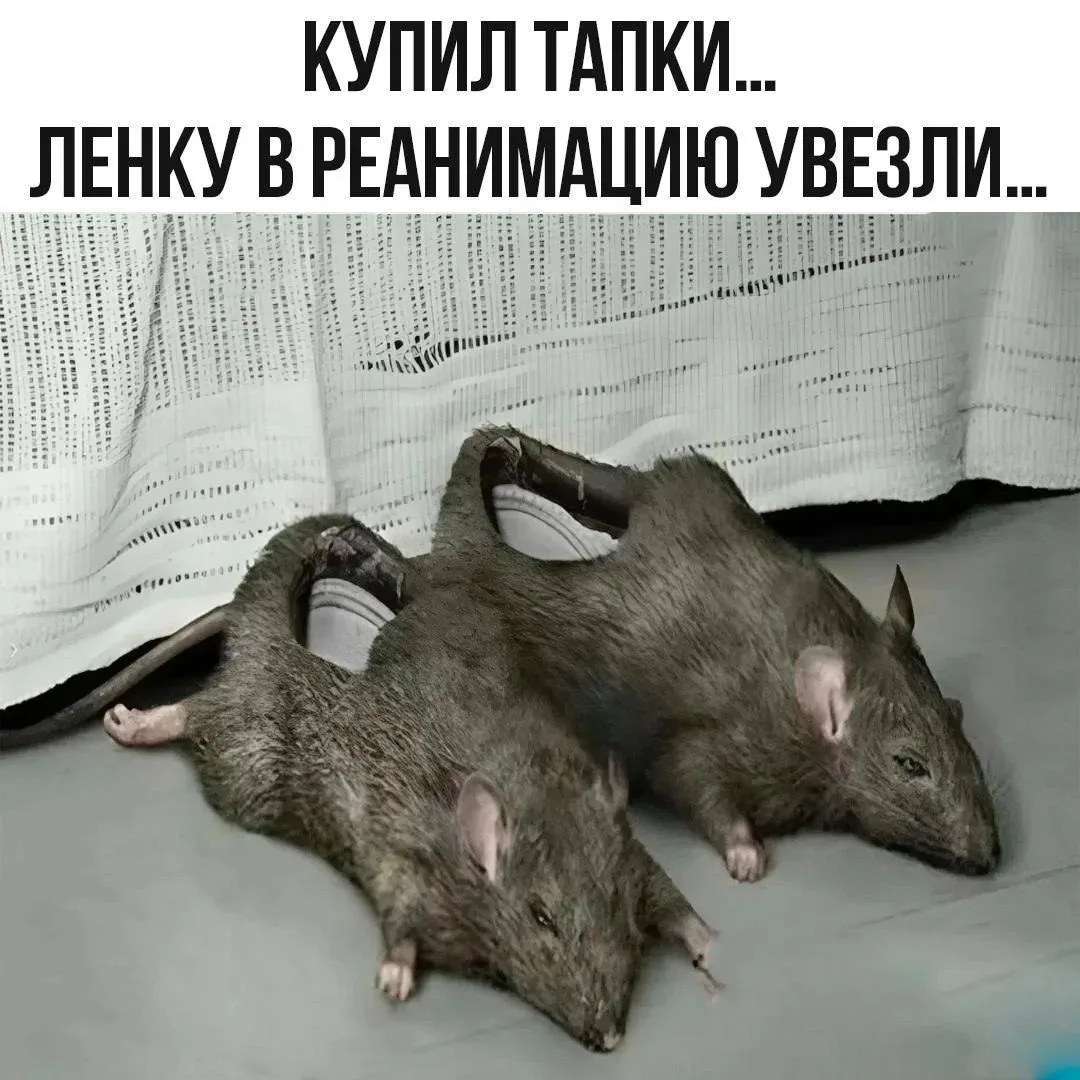 🔈 Подписаться 👈
