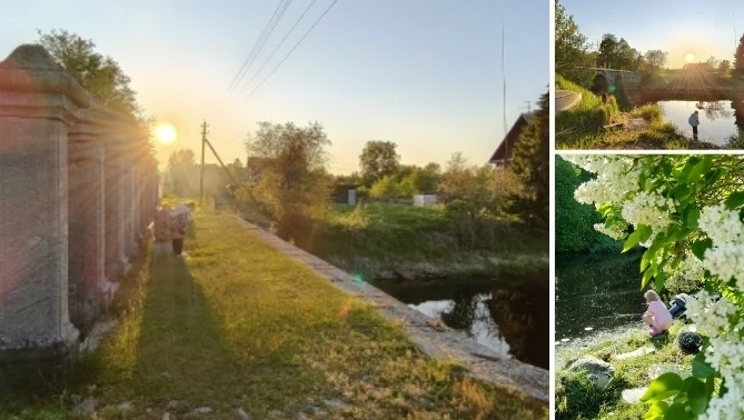 Летом в деревне Дубно 🤩❤

#лл_волховскийрайон
Фото Алексей Шумихин

❤️ Подпишись на Любимую ТГ/Max/