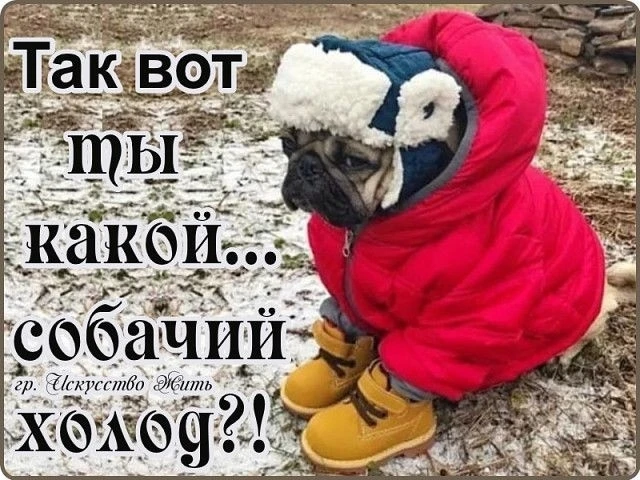 🔴 МЫ СНОВА МЁРЗНЕМ!