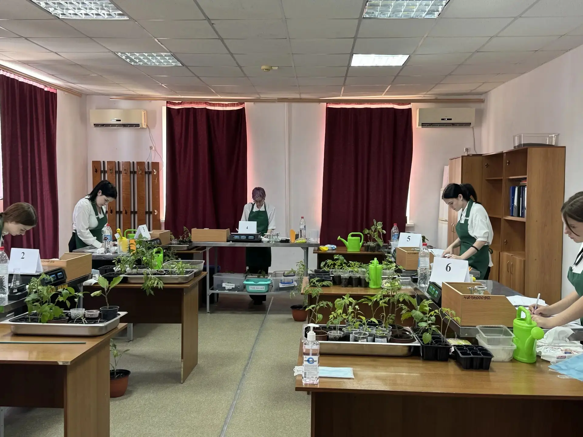 В Лабинском социально-техническом техникуме проводится итоговая аттестация студентов в формате демон