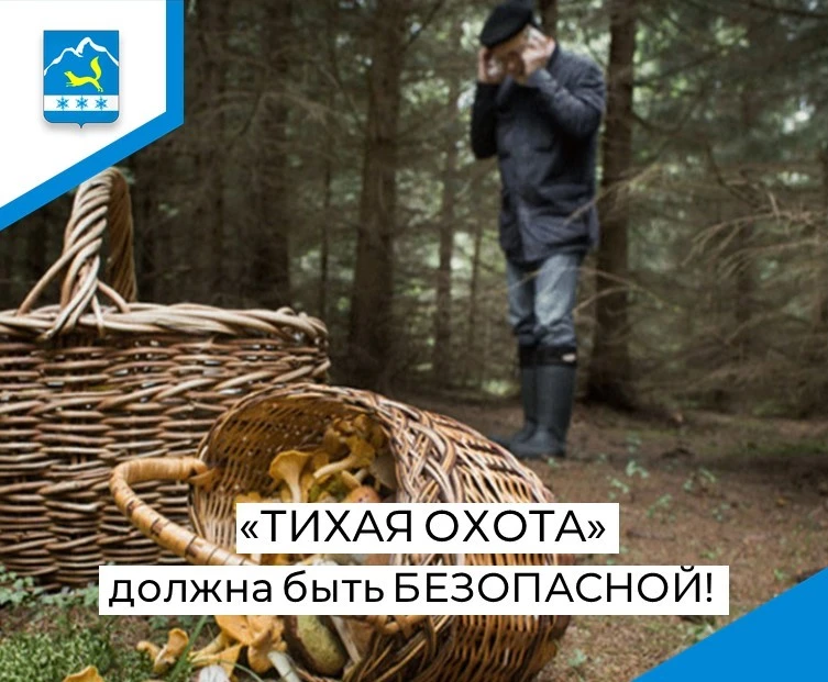 Лес не прощает беспечности