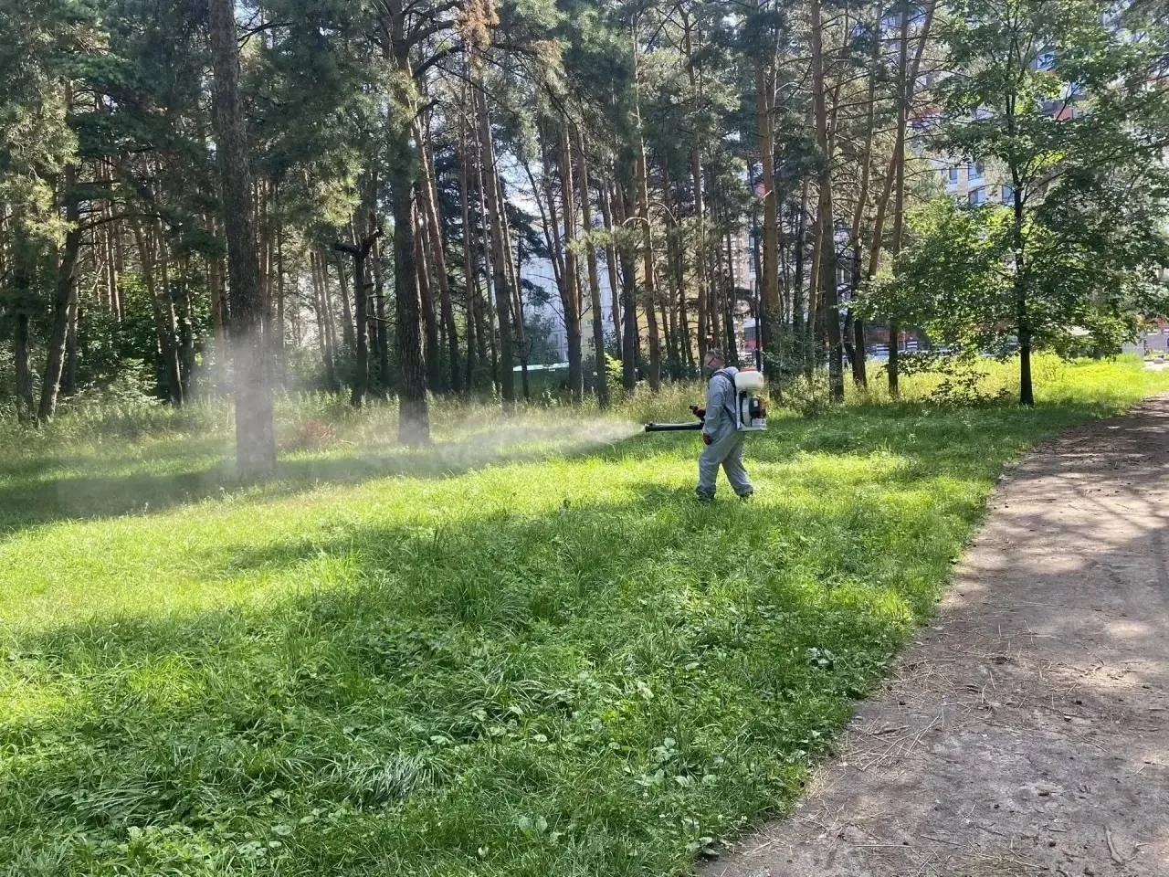 Изображение 5 к публикации «Подслушано Люберцы | Малаховка | Томилино | Жуковский | Москва | ЖК Новотомилино | Ухтомская | Квартал Новокрасково | Легенда Коренёво | Егорово Парк | Красково | Кратово | Работа | Вакансии»
