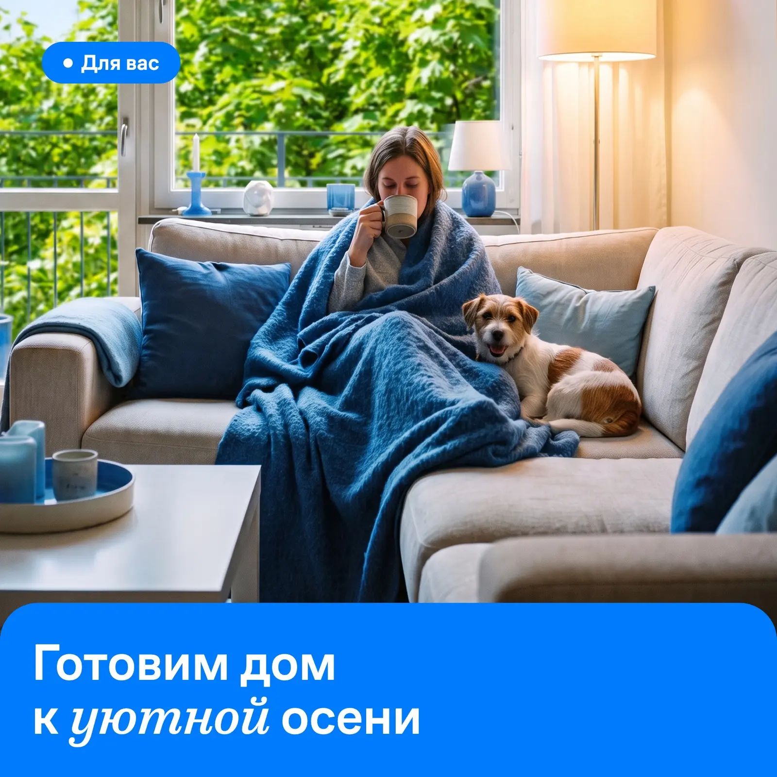Жители уютных квартир 🏠