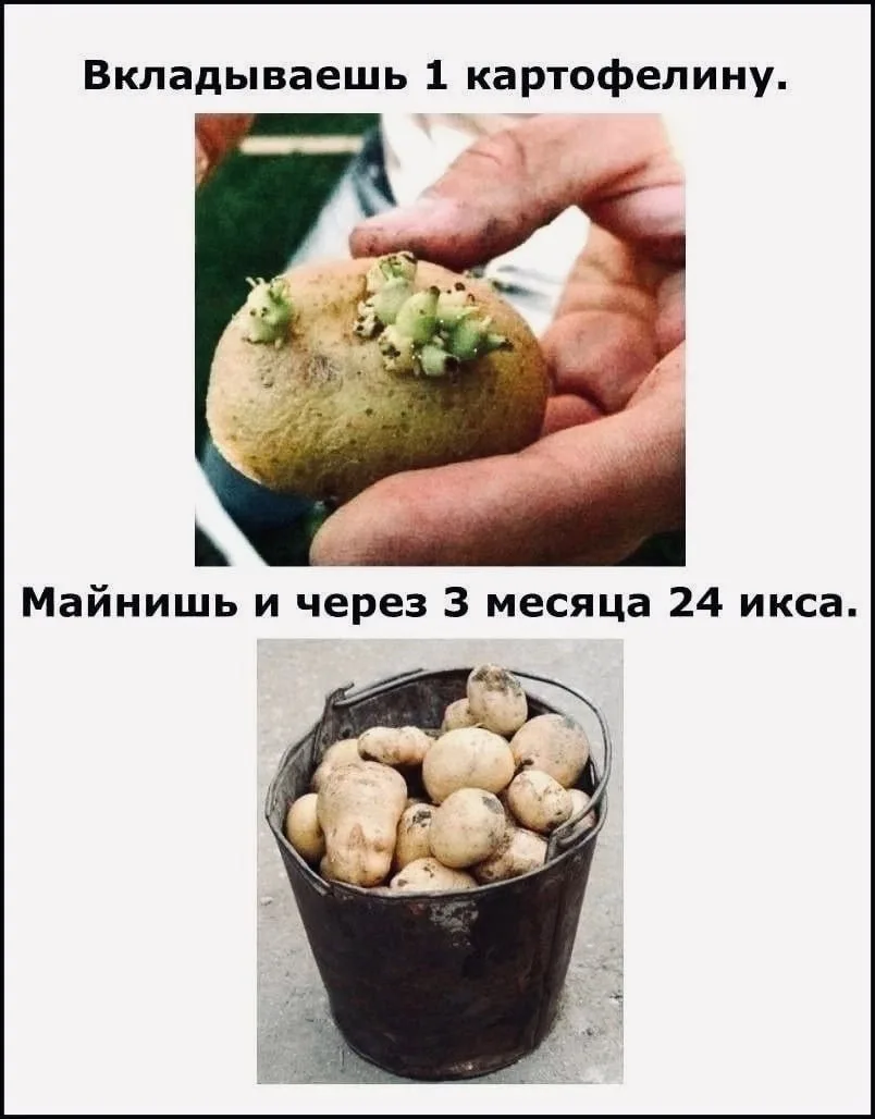 Юмор 24/7 | Подпишись!