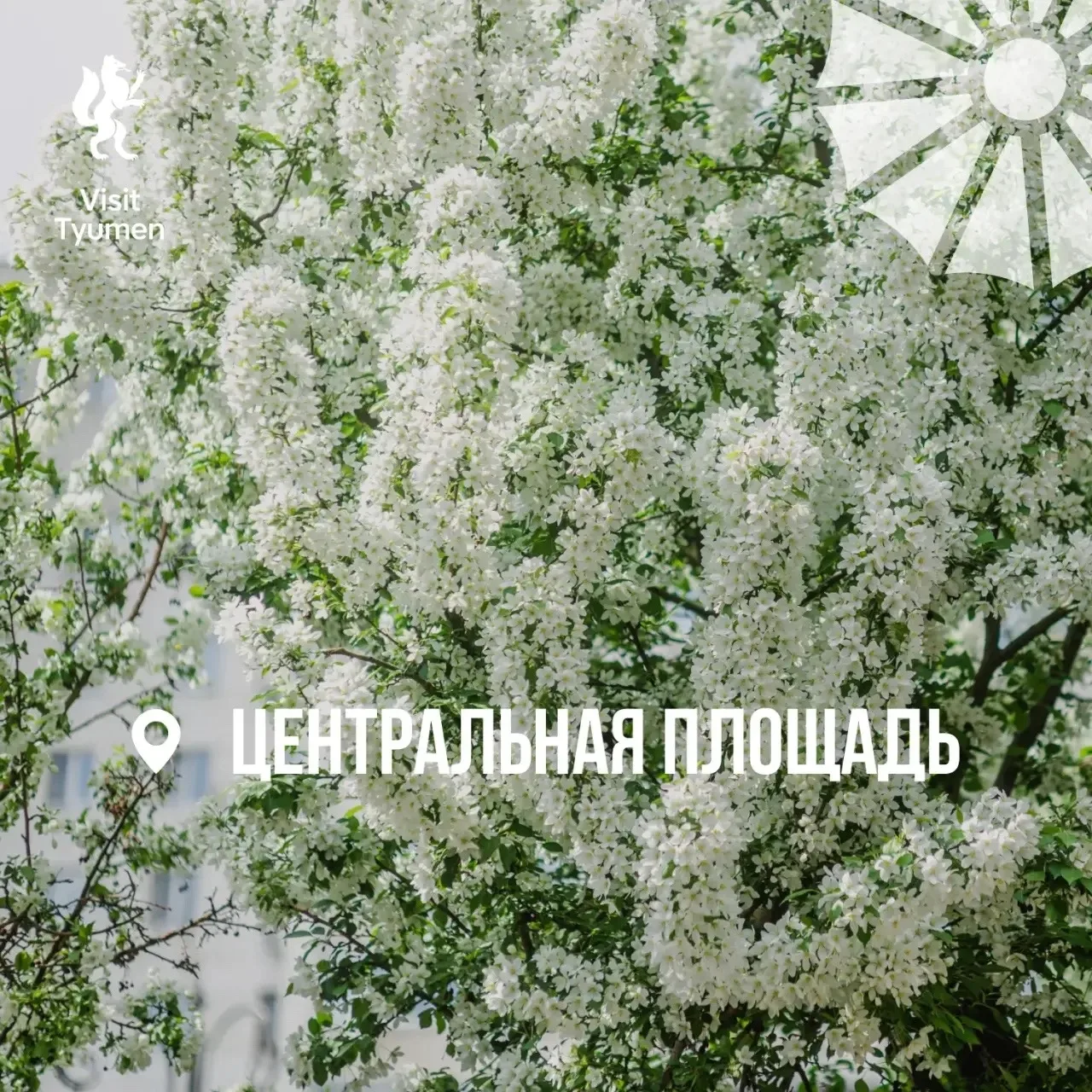 🌸 Хотим утопать в цветах!  На деревьях уже созревают цветы, а мы давно созрели для весенних фотосесс