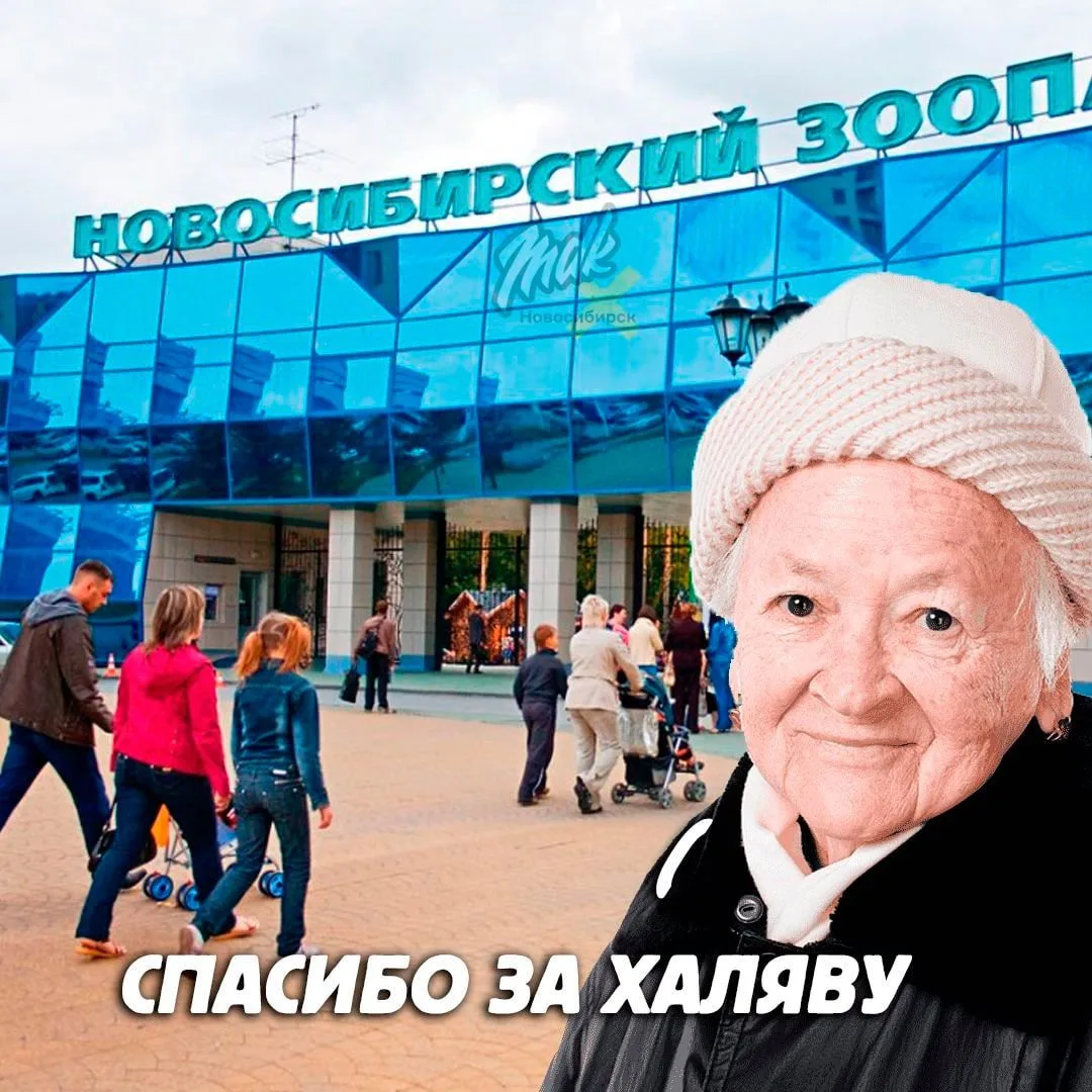 🎟 Пенсионеры смогут бесплатно сходить в зоопарк и пять музеев нашего города
