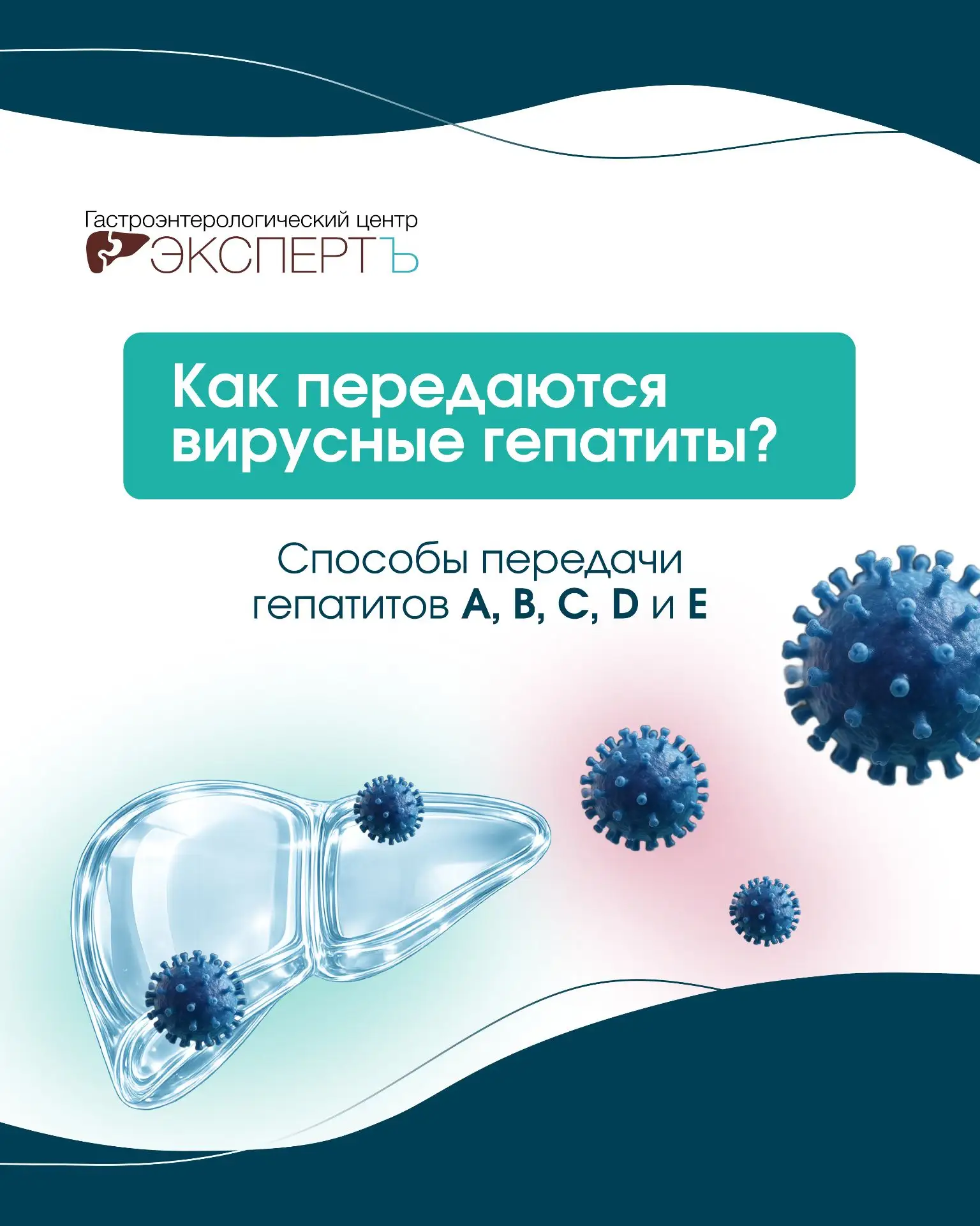 🦠 Как передаются вирусные гепатиты?