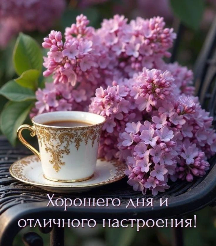 Дневник дачника