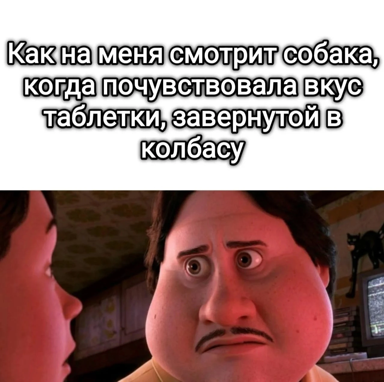 Минутка ветлайфхаков для владельцев животных.

Стандартная пипетка или смешивание с едой часто дают 