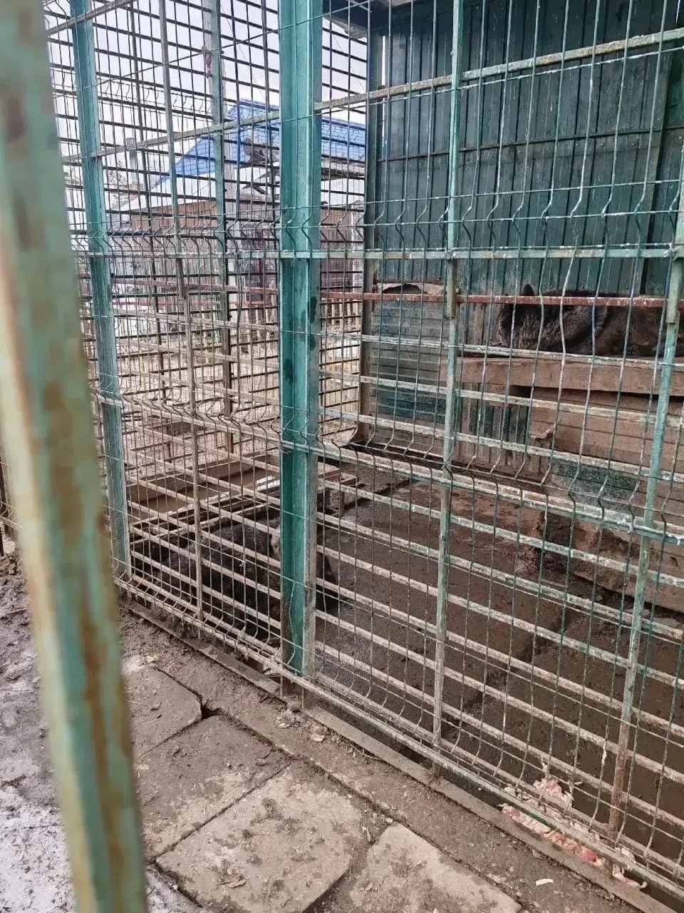 👏В Томской области через суд закрыли зоопарк при кафе-шашлычной