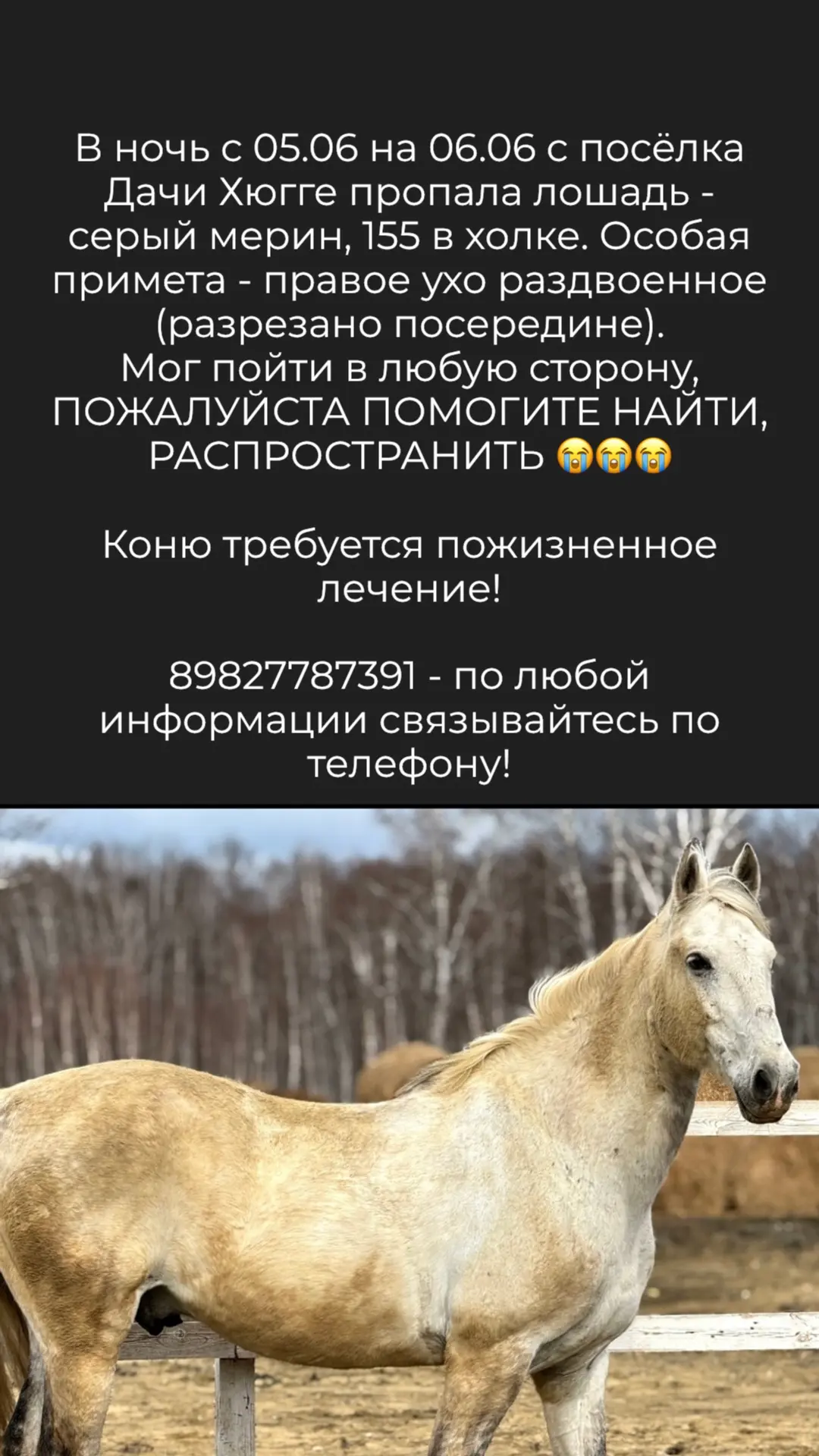 Поможем найти вместе!