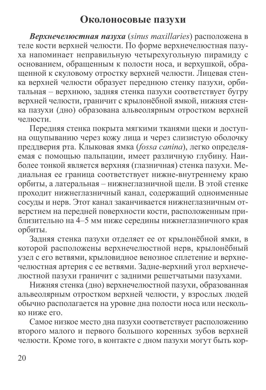 Околоносовые пазухи