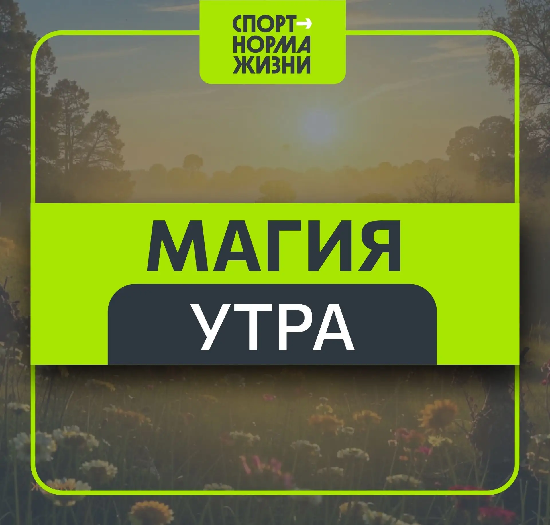 Знаете ли вы, что успех всего дня закладывается именно утром?