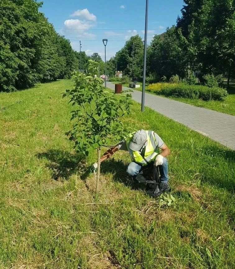 С заботой об автозаводцах ❤️ 

Летняя уборка идет идет полным ходом. Особое внимание подрядчики удел
